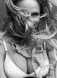 TopRq.com search results: Pamela Denise Anderson