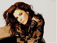 TopRq.com search results: sandra bullock