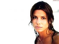 Celebrities: sandra bullock