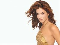 Celebrities: sandra bullock