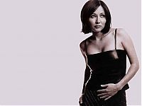 Celebrities: shannen doherty