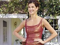 TopRq.com search results: teri hatcher