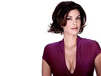 TopRq.com search results: teri hatcher