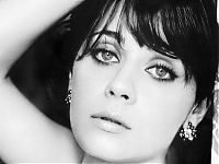 Celebrities: zooey deschanel