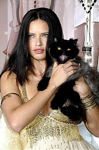 TopRq.com search results: adriana lima