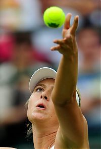 TopRq.com search results: maria sharapova