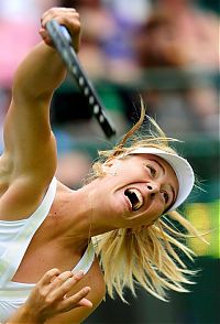 Celebrities: maria sharapova