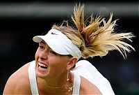 TopRq.com search results: maria sharapova