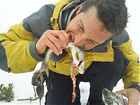 Celebrities: Edward Michael Bear Grylls