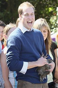 Celebrities: Prince William in New Zealand