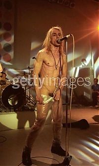 TopRq.com search results: Life of Iggy Pop