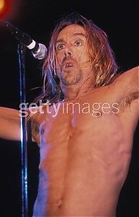 TopRq.com search results: Life of Iggy Pop