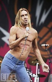 TopRq.com search results: Life of Iggy Pop