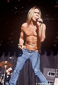 Celebrities: Life of Iggy Pop