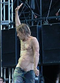 TopRq.com search results: Life of Iggy Pop