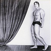 Celebrities: Arnold Schwarzenegger