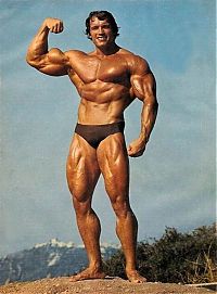 Celebrities: Arnold Schwarzenegger