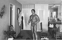 Celebrities: Arnold Schwarzenegger