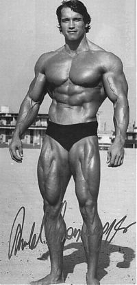 Celebrities: Arnold Schwarzenegger