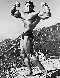 Celebrities: Arnold Schwarzenegger