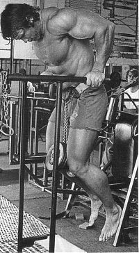 Celebrities: Arnold Schwarzenegger