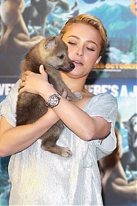 TopRq.com search results: Hayden Leslie Panettiere