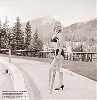 Celebrities: Marilyn Monroe