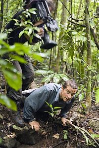 Celebrities: Edward Michael Bear Grylls