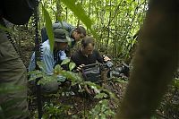 TopRq.com search results: Edward Michael Bear Grylls