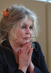 Celebrities: Life of Brigitte Anne-Marie Bardot