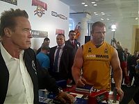 TopRq.com search results: Arnold Schwarzenegger