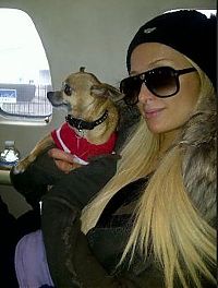 Celebrities: Paris Whitney Hilton