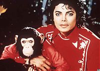 Celebrities: Life of Michael Joseph Jackson