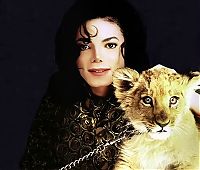 Celebrities: Life of Michael Joseph Jackson