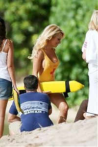 Celebrities: Pamela Denise Anderson