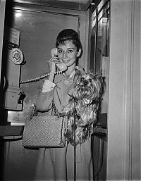 Celebrities: Audrey Kathleen Ruston Hepburn