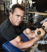 Celebrities: Arnold Schwarzenegger