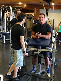 TopRq.com search results: Arnold Schwarzenegger