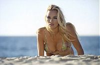 TopRq.com search results: Pamela Denise Anderson