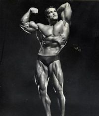 TopRq.com search results: Arnold Schwarzenegger