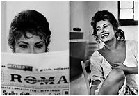 Celebrities: Sophia Loren