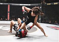 TopRq.com search results: Angela Lee