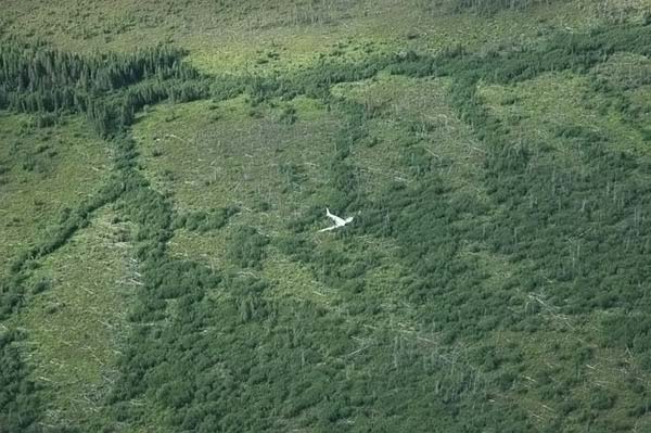 crashed plane