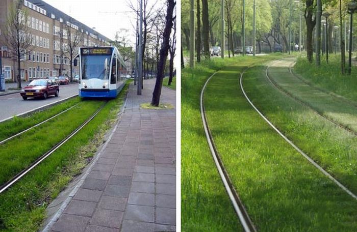 lawn rails for trams