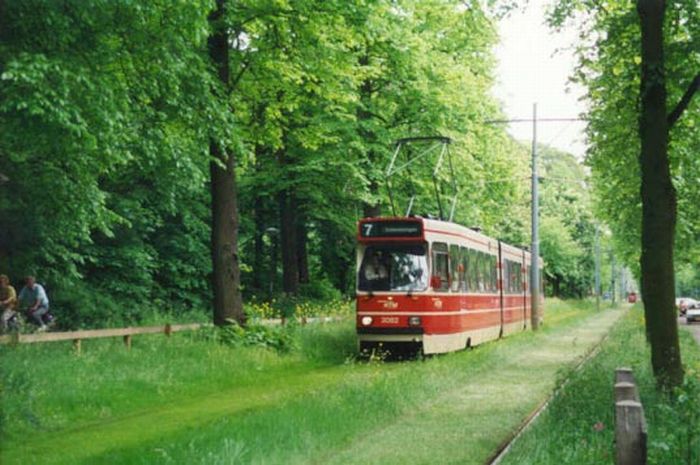 lawn rails for trams