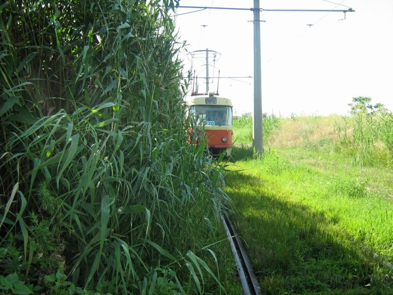 train in the city