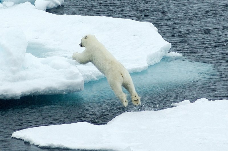 arctic vessels