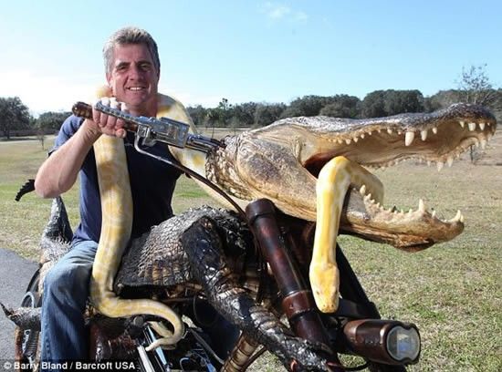 alligator motorcycle