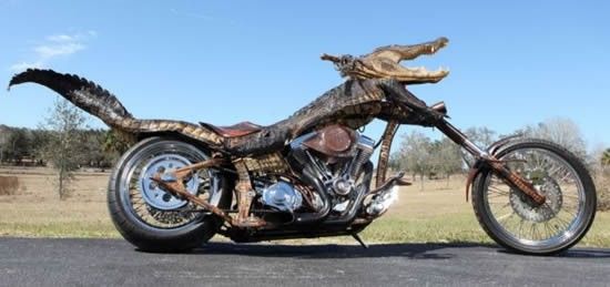 alligator motorcycle