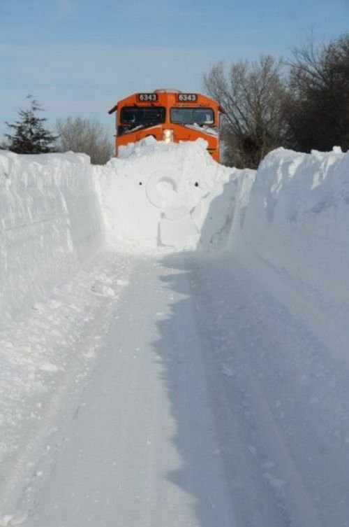 rotary snowplow train